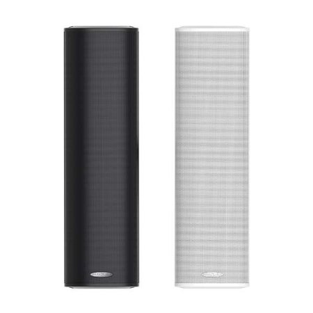 DSP255II Outdoor Waterproof Column Speaker