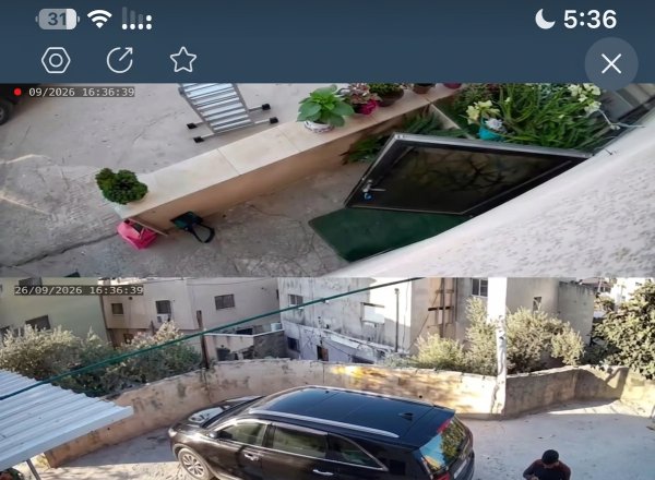 نايف من جنين